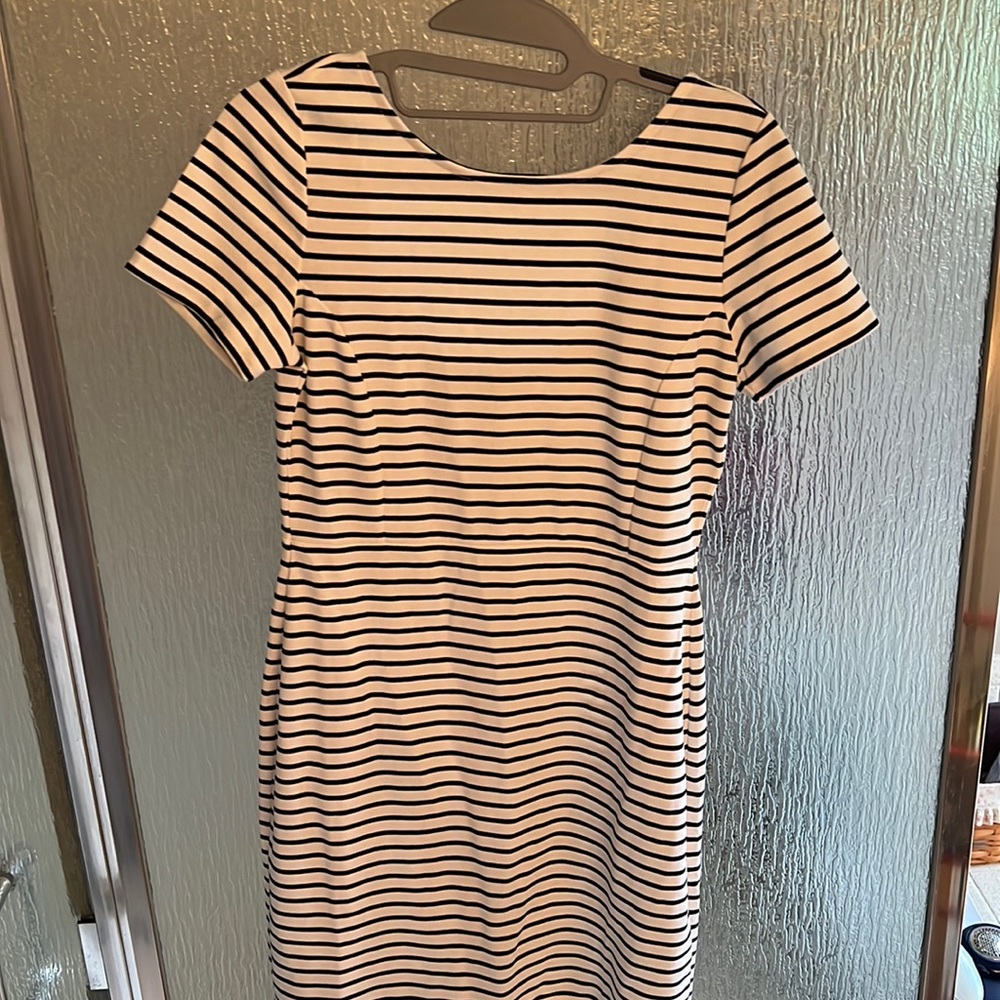 Banana Republic Brand New Striped Dress